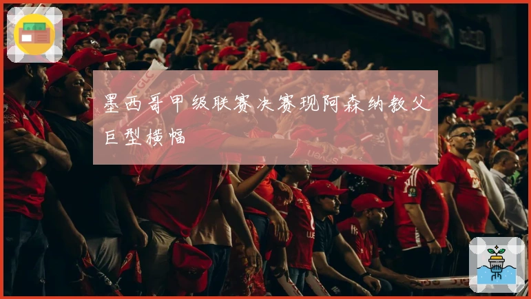 墨西哥甲级联赛决赛现阿森纳教父巨型横幅