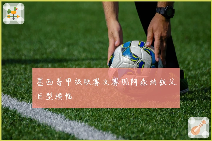 墨西哥甲级联赛决赛现阿森纳教父巨型横幅